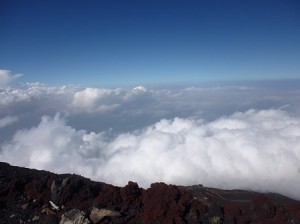 P1000538_1